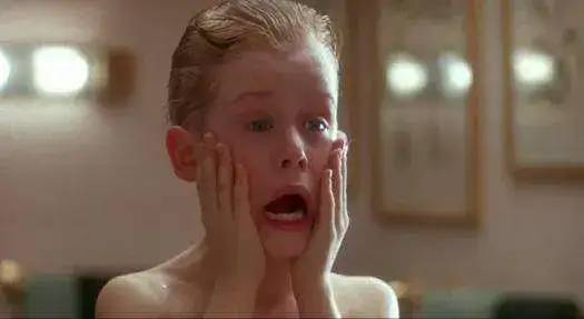 Macaulay Culkin as Kevin McCallister