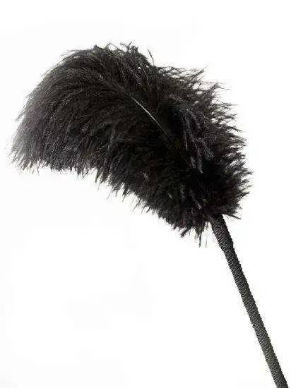 tickler