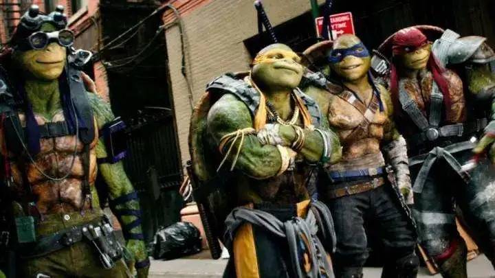 Yes, there is more turtles.