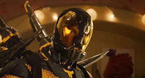 yellow jacket