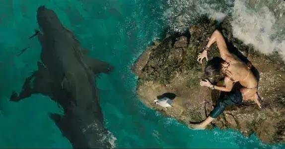 shallows